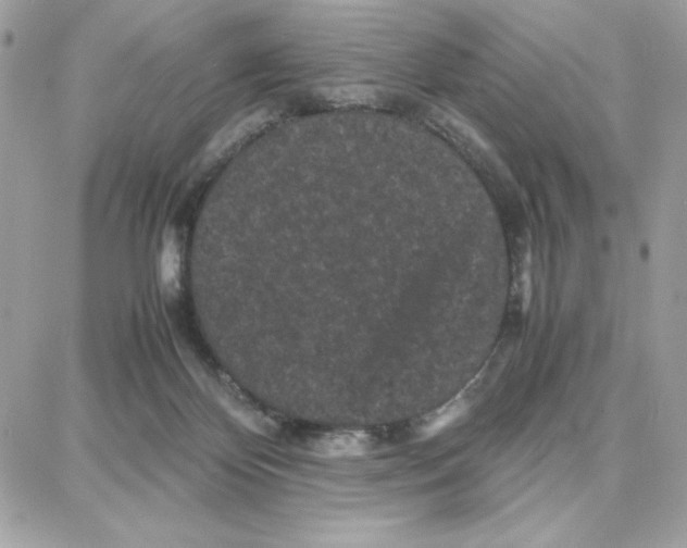 X0000087670124200706011639