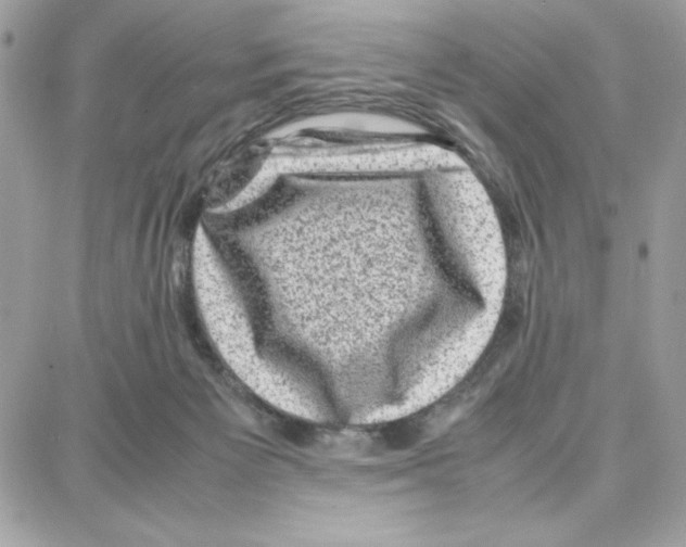 X0000087670125200706011639