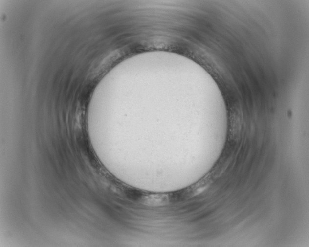 X0000087670126200706011639