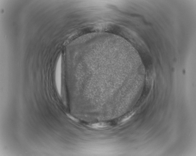 X0000087670127200706011639