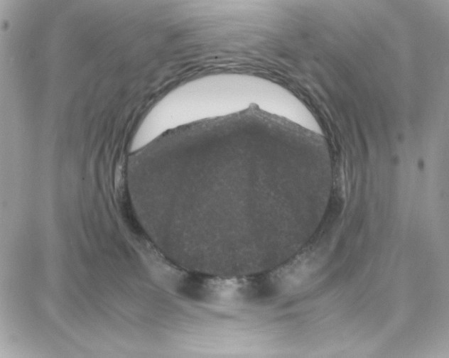 X0000087670131200706011639