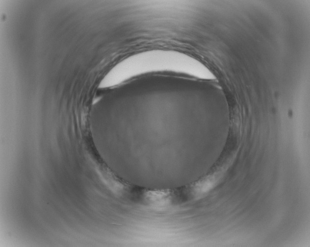 X0000087670139200706011638