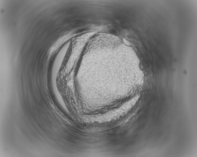 X0000087670149200706011638