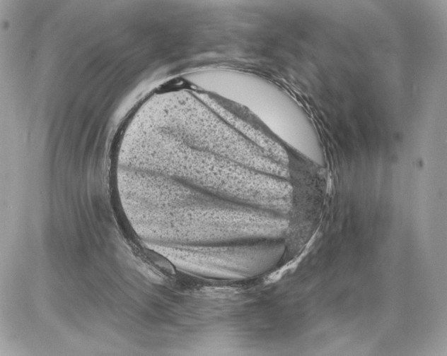 X0000087670150200706011638