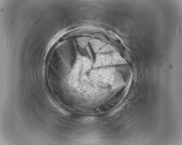 X0000087670152200706011638
