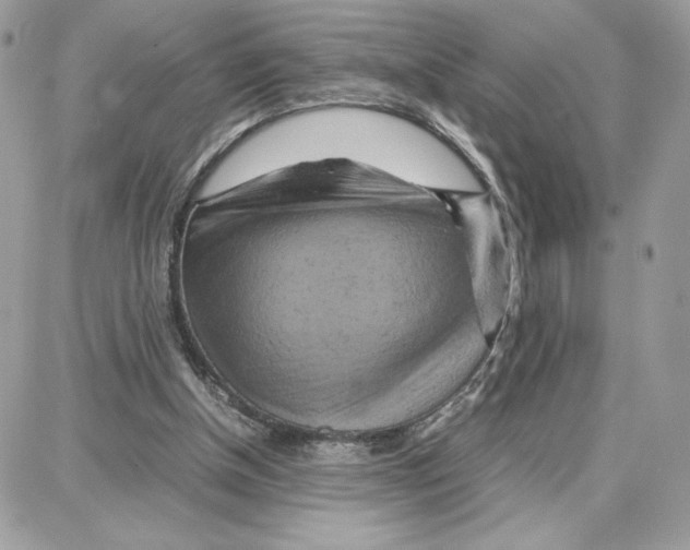 X0000087670154200706011638