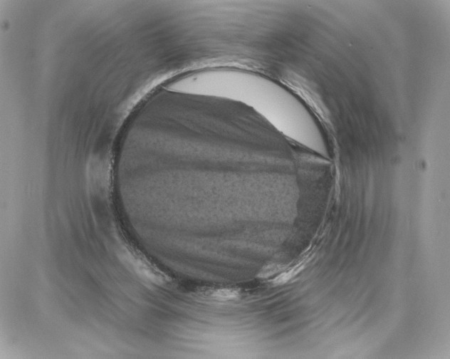 X0000087670156200706011638