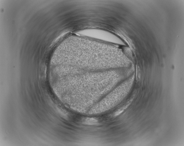 X0000087670157200706011638