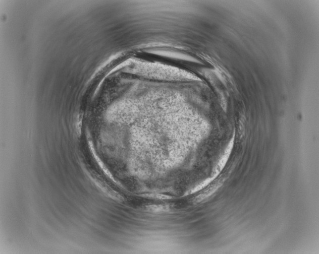 X0000087670160200706011638