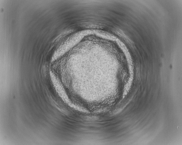 X0000087670165200706011638
