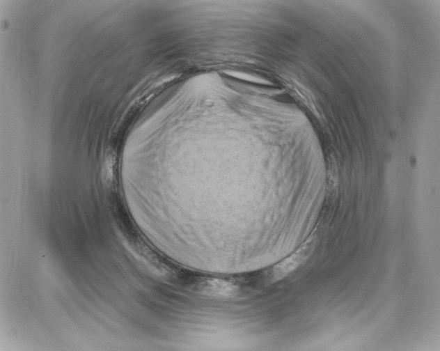 X0000087670166200706011638