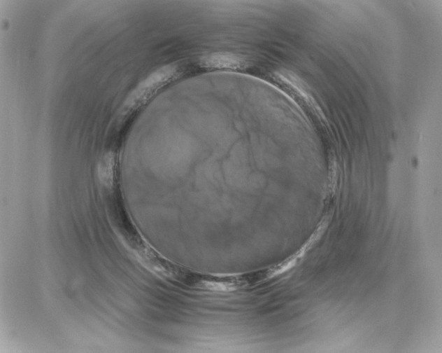 X0000087670167200706011638