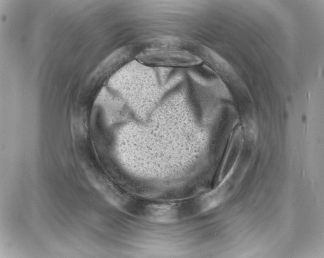 X0000087670170200706011638