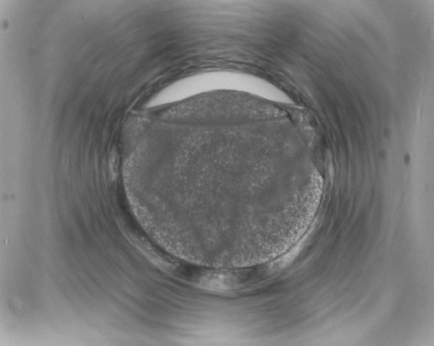 X0000087670174200706011638