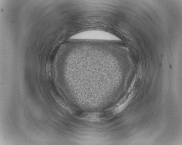 X0000087670182200706011638