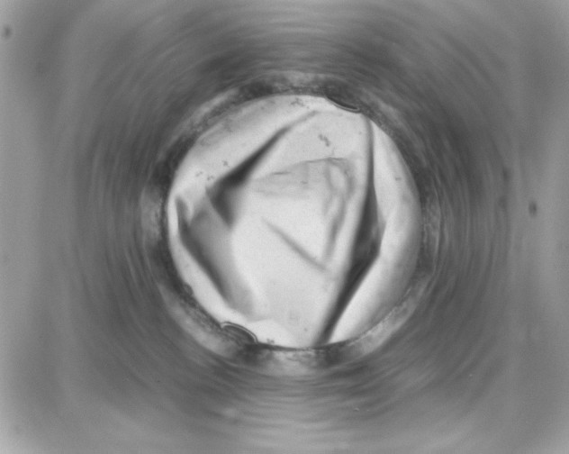 X0000087670188200706011638