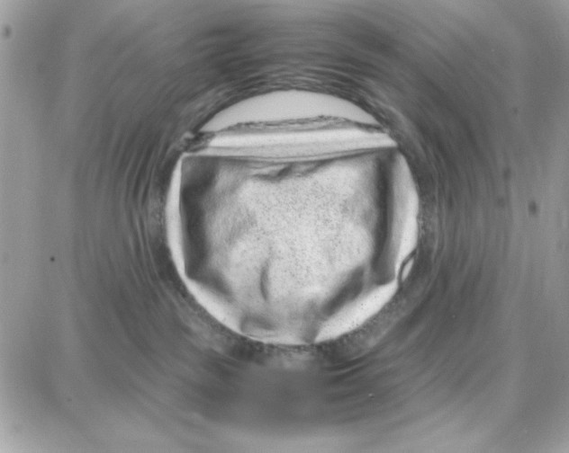 X0000087670189200706011638