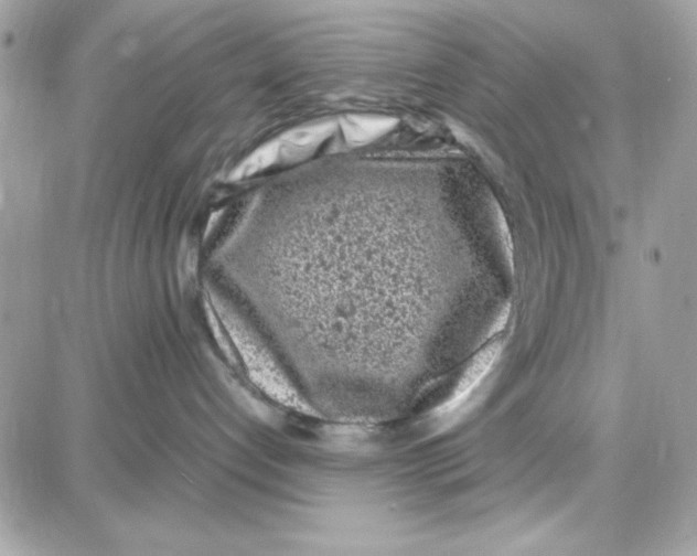 X0000087670192200706011638