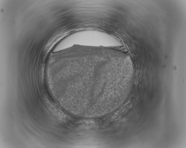 X0000087670194200706011637