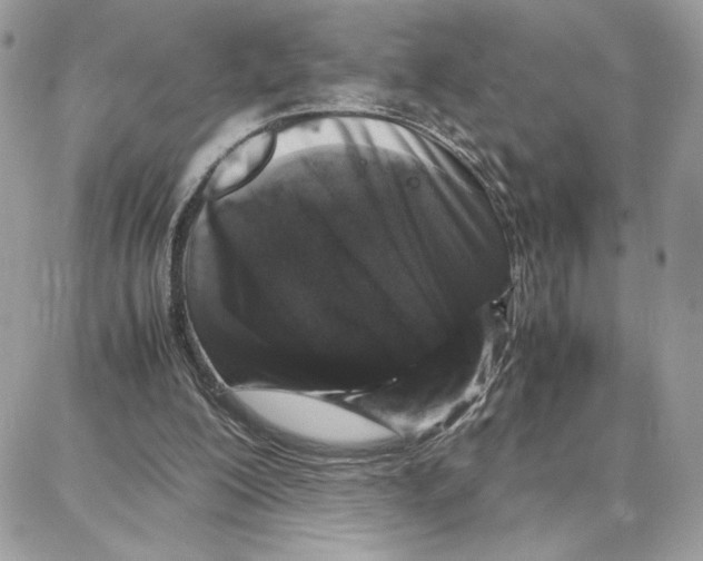 X0000087670200200706011637