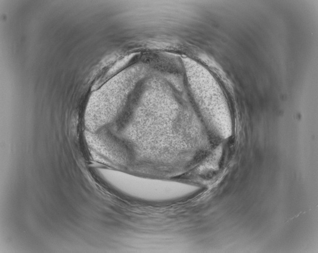 X0000087670201200706011637