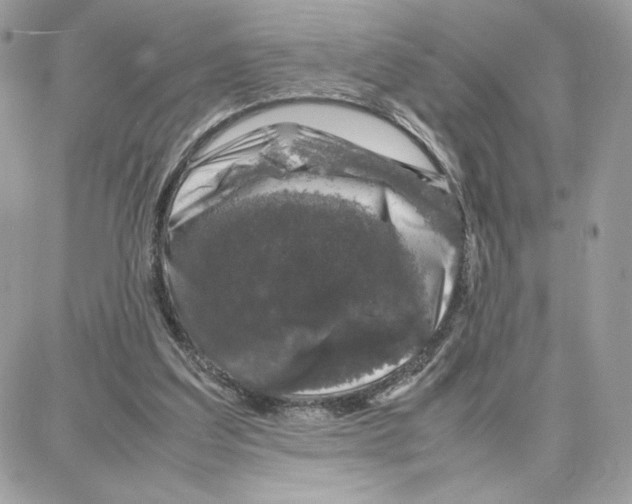 X0000087670203200706011637