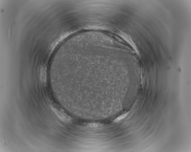 X0000087670204200706011637