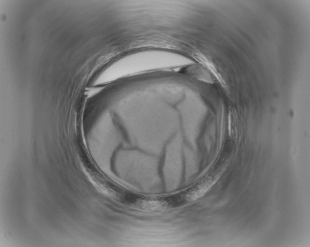 X0000087670205200706011637