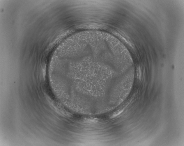 X0000087670206200706011637