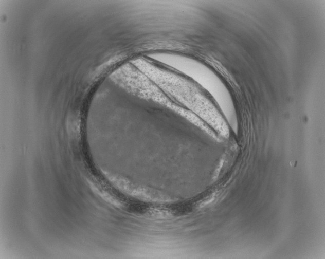X0000087670207200706011637