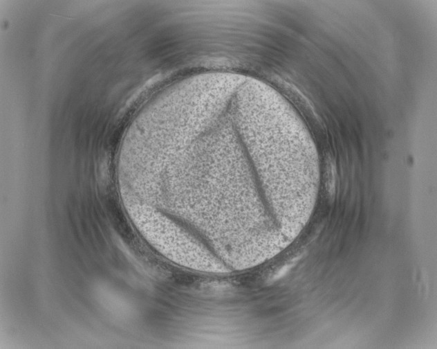 X0000087670208200706011637