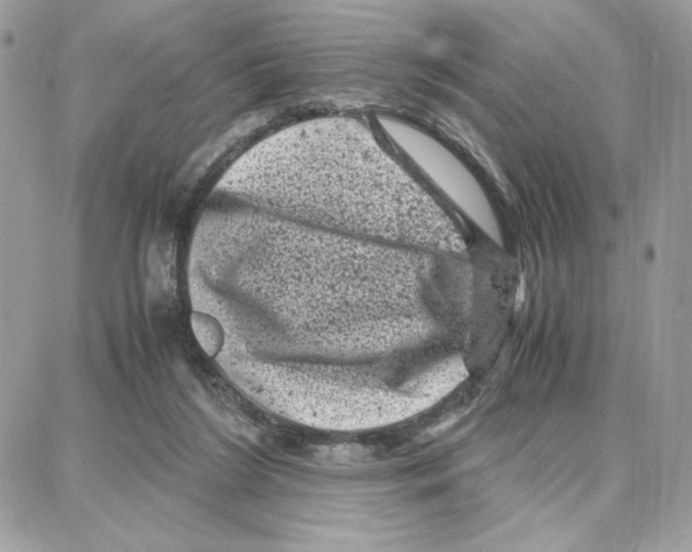 X0000087670212200706011637