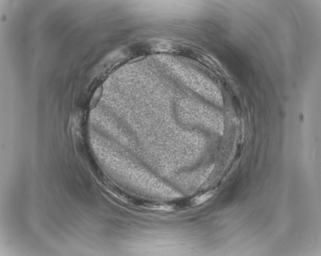 X0000087670217200706011637