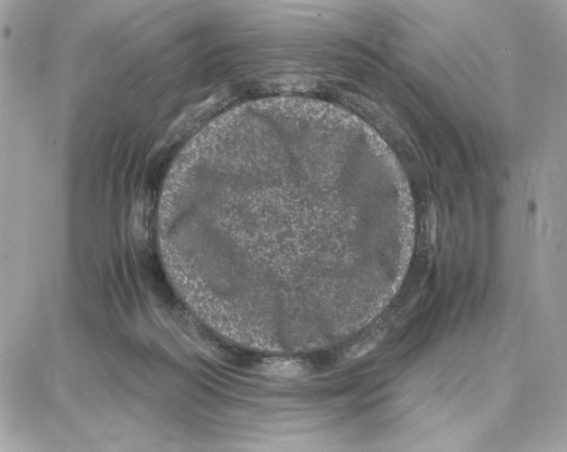 X0000087670218200706011637