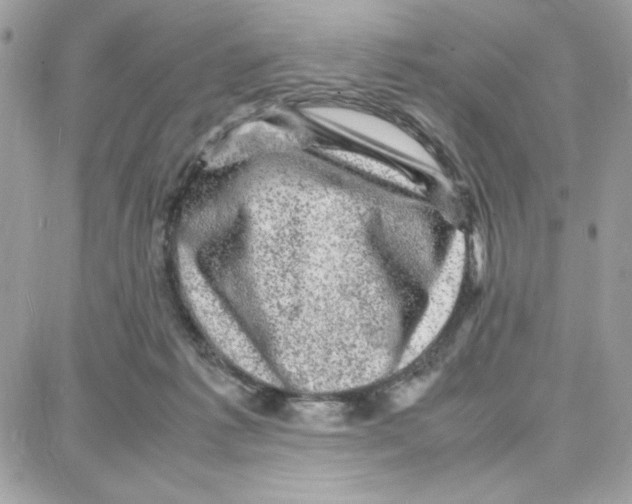 X0000087670221200706011637