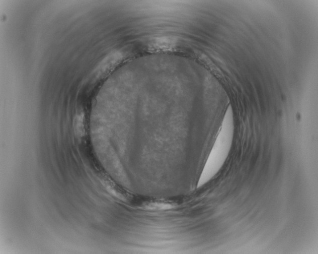 X0000087670224200706011637