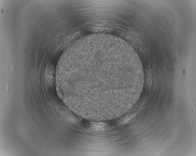 X0000087670226200706011637