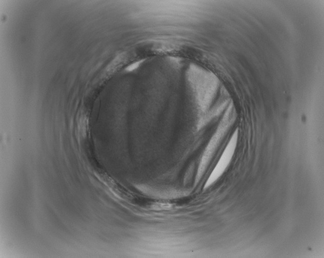 X0000087670227200706011637