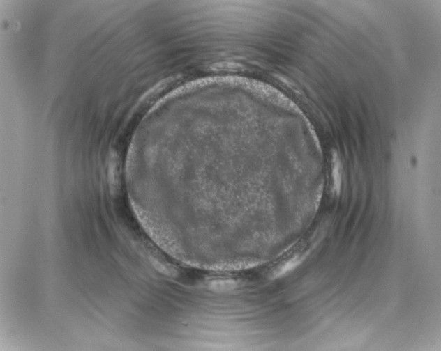 X0000087670228200706011637