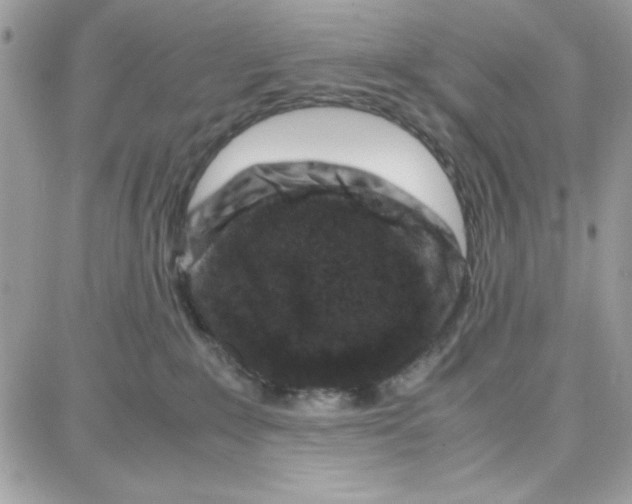 X0000087670235200706011637