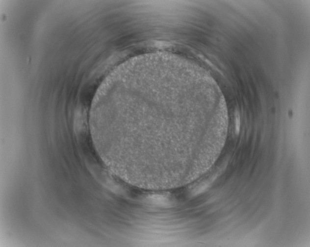 X0000087670236200706011637