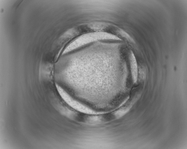 X0000087670237200706011637