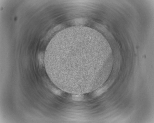 X0000087670240200706011637