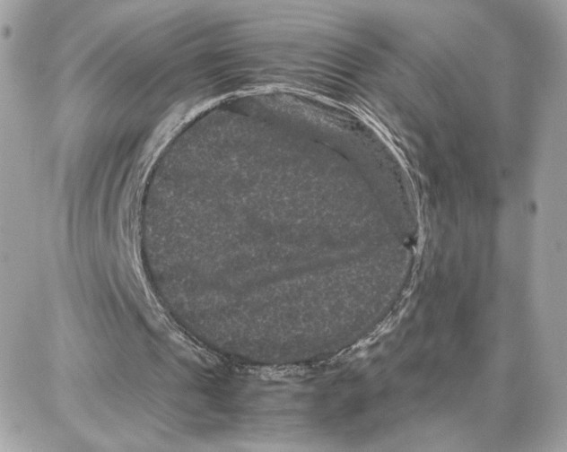 X0000087670241200706011636