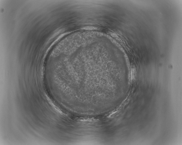 X0000087670243200706011636