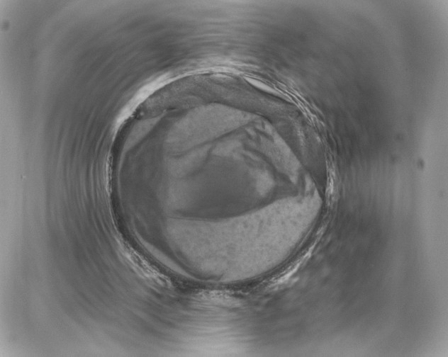 X0000087670244200706011636