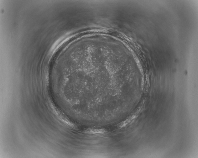 X0000087670247200706011636
