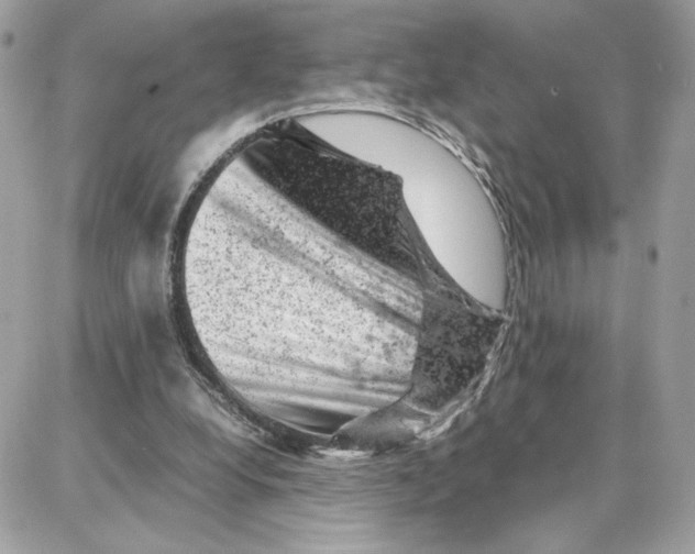 X0000087670248200706011636