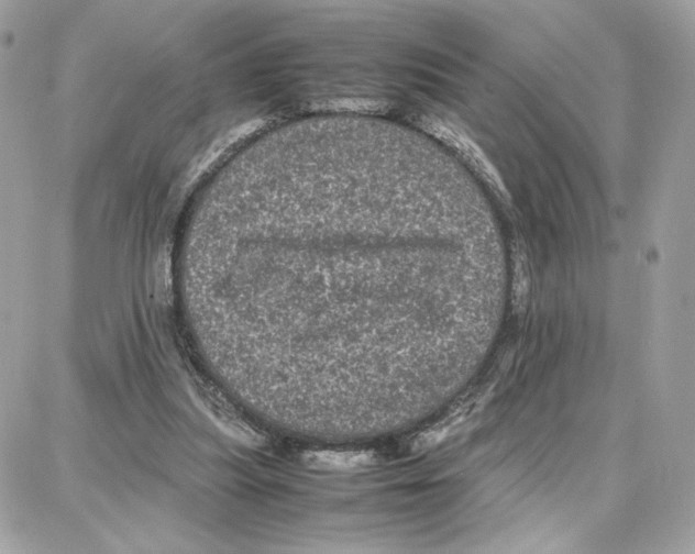 X0000087670251200706011636