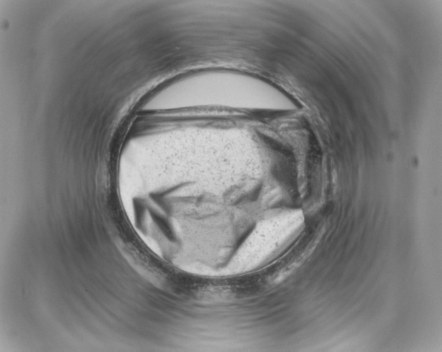 X0000087670252200706011636